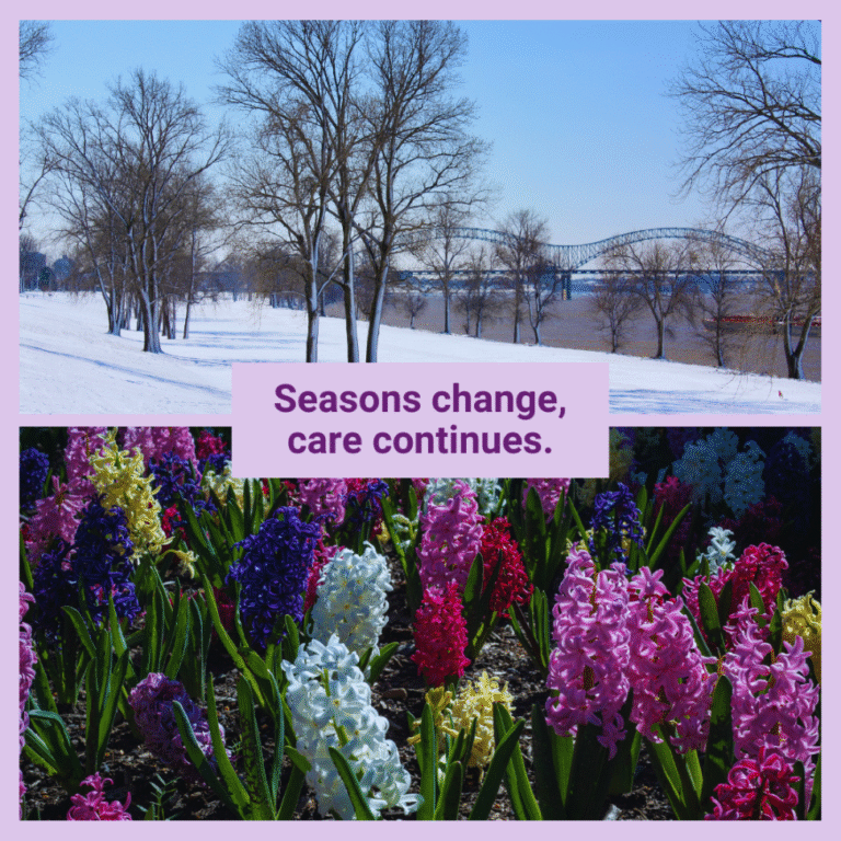 Springtime Photo In Memphis 3 Church Health '26 Spring Appeal_Social_3